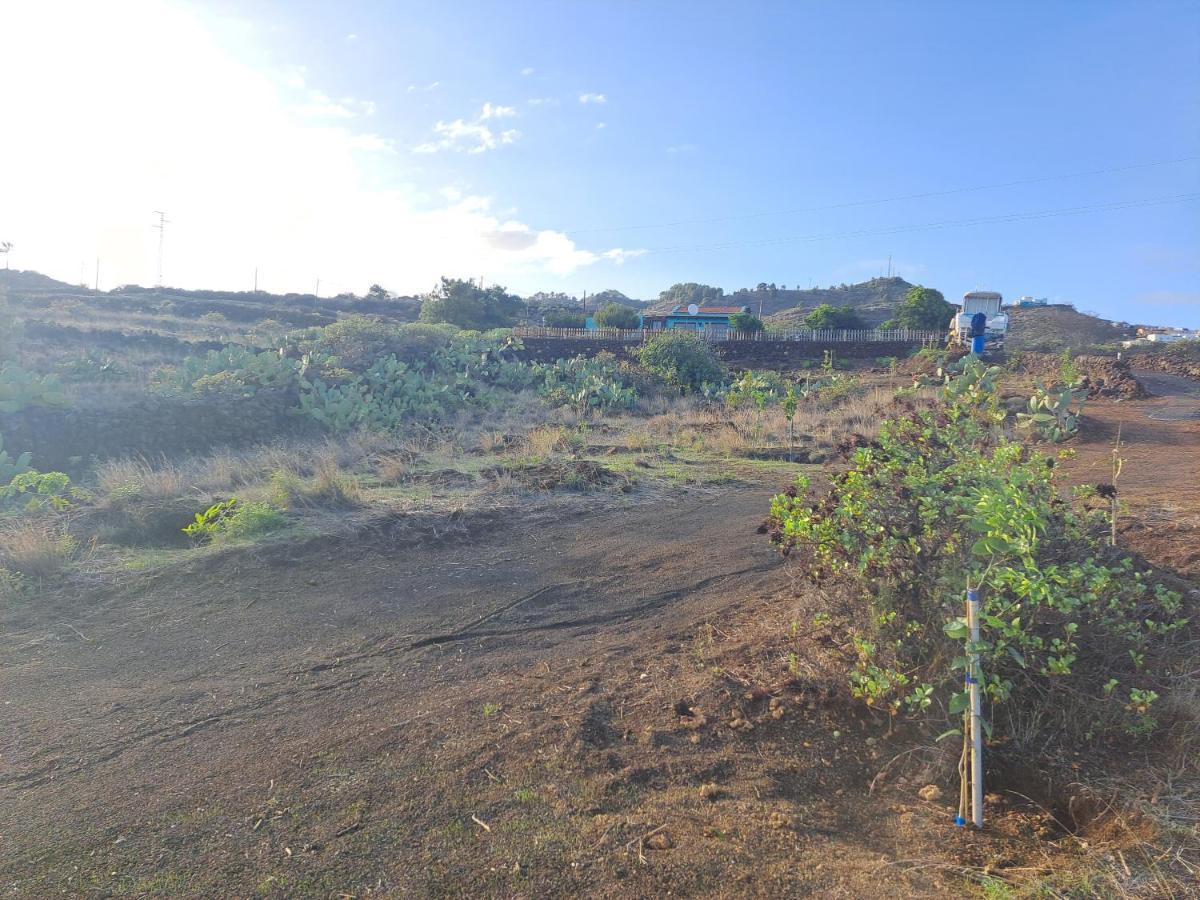 Las Casitas De Pao El Pinar  Esterno foto