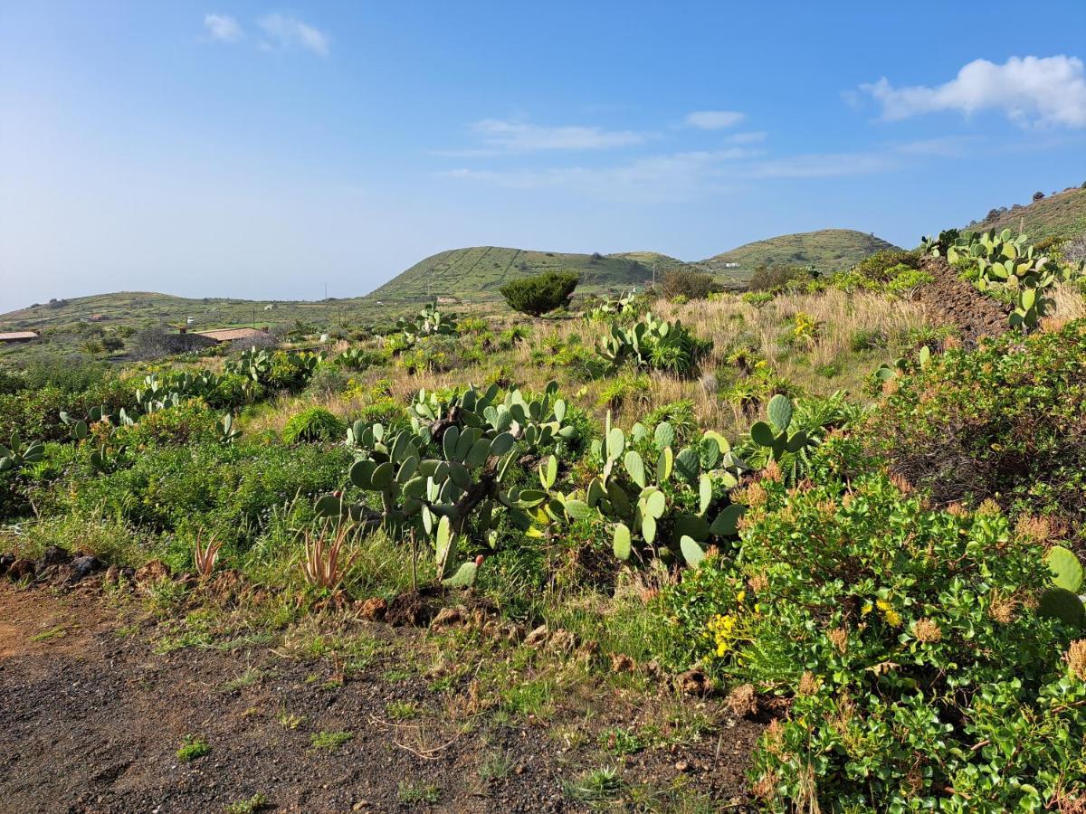 Las Casitas De Pao El Pinar  Esterno foto